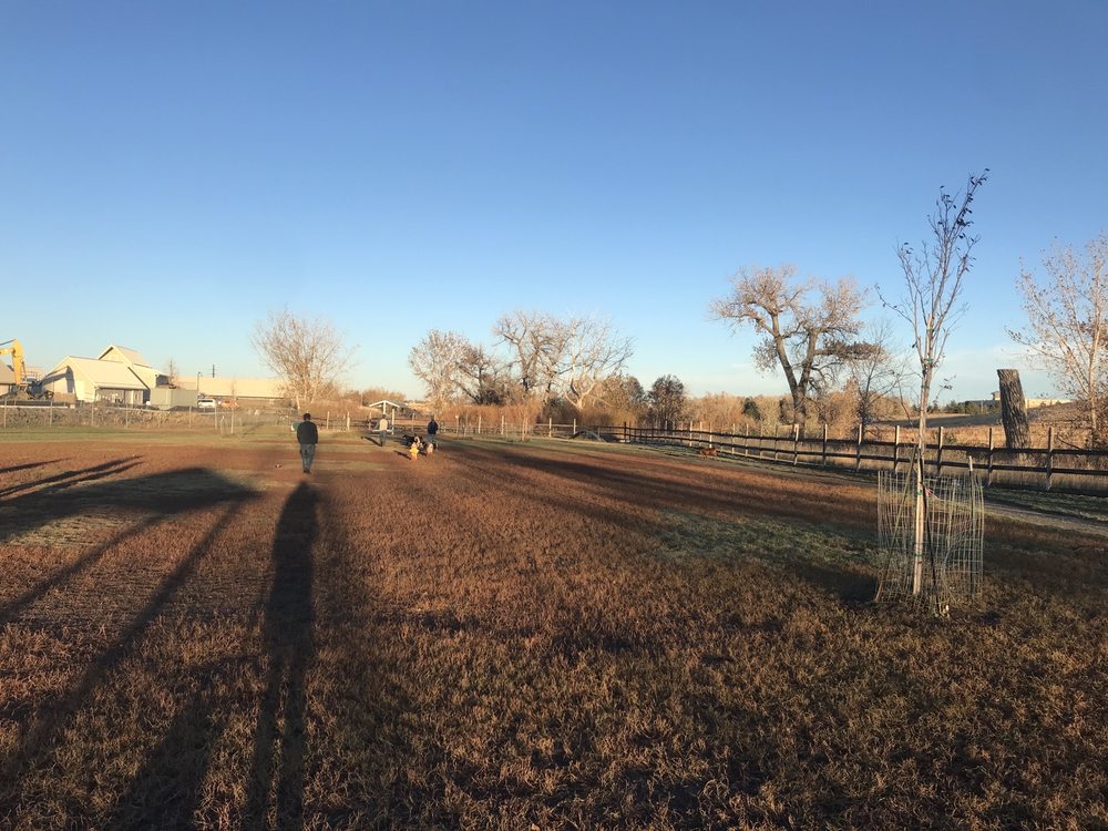 Autrey Dog Park dog park