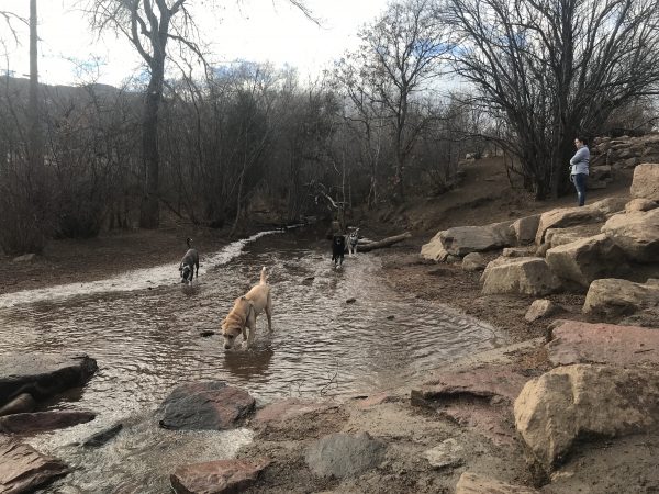 Bear Creek Dog Park (Barker Park) dog park