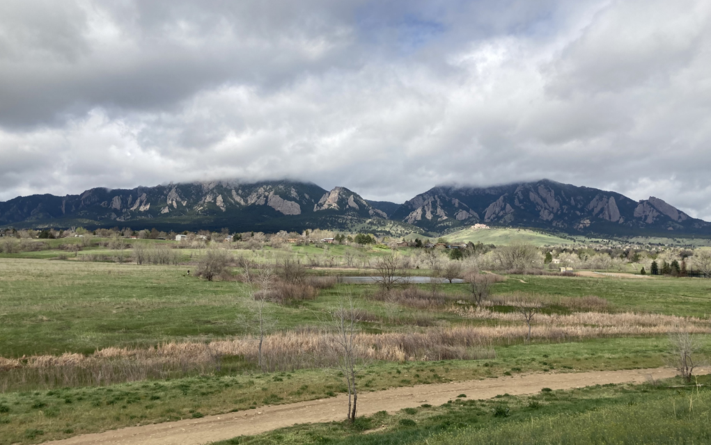 CU South Dog Park dog park